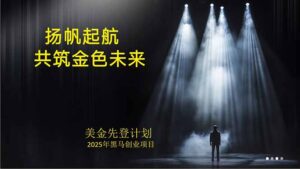 美金对冲创业项目，日收益1000-3000，小众暴力项目稳定运行8年-知识创作