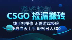 8月最新游戏搬砖，CSGO纯挂机，不需要玩游戏，实现真挂机，月入1W+-知识创作