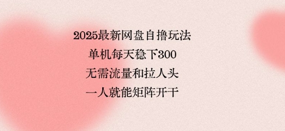 2025最新网盘自撸玩法，单机每天稳下3张，无需流量和拉人头，一个人就可轻松矩阵，全网独一份【揭秘】-知识创作