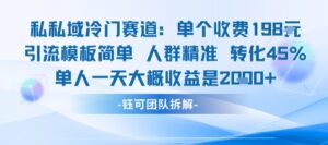 私域冷门赛道单个收费198米引流模板简单人群精准 45%的转化率单人一天大概收益多张-知识创作
