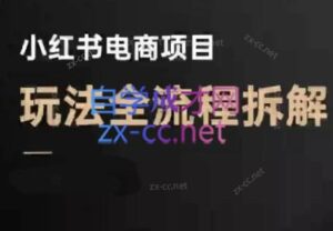 菲菲老师·小红书电商玩法(更新9月)-知识创作