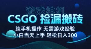 8月最新游戏搬砖，CSGO纯挂G，不需要玩游戏，实现真挂G，月入1W+【揭秘】-知识创作