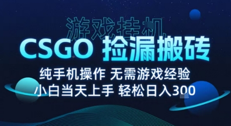 8月最新游戏搬砖，CSGO纯挂G，不需要玩游戏，实现真挂G，月入1W+【揭秘】-知识创作