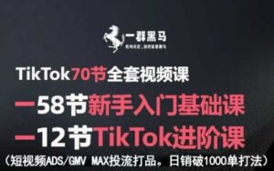 TikTok全套视频课，新手入门+进阶课，短视频ADS-GMV MAX投流打品，日销破1000单打法-知识创作