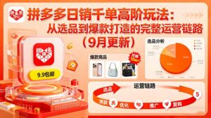 拼多多日销千单高阶玩法：从选品到爆款打造的完整运营链路(9月更新-知识创作