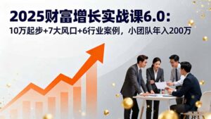 2025财富增长实战课6.0：10万起步+7大风口+6行业案例，小团队年入200万-知识创作