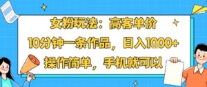 女粉玩法：高客单价，10分钟一条作品，日入1k+操作简单，手机就可以-知识创作