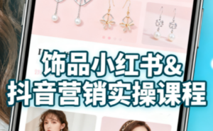 抖音+小红书饰品卖货：货源、开店、内容全教会-知识创作