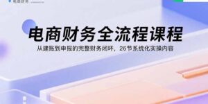 电商财务全流程课程：从建账到申报的完整财务闭环，26节系统化实操内容-知识创作