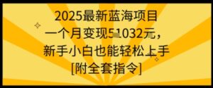 2025最新蓝海项目一个月变现1w+新手小白也能轻松上手【附全套指令】-知识创作
