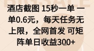 酒店截图15秒一单，一单0.6米，每天任务无上限，全网首发可矩阵单日收益3张【揭秘】-知识创作