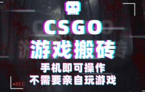 CSGO游戏挂机捡漏，单日扫货500+，年底小高峰上车可吃肉，手机即可操作...-知识创作