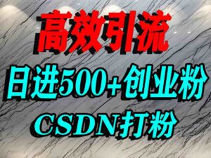 怎么打创业粉？CSDN又一个你不知道的打粉引流神秘平台，单人日引500+精准流量-知识创作