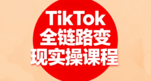 小杨老师·TikTok全链路变现实操课程-知识创作