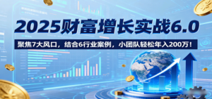 2025财富增长实战6.0，聚焦7大风口，结合6行业案例，小团队轻松年入200万！-知识创作