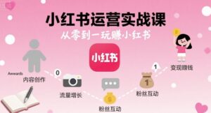 小红书运营实战课，从零到一玩賺小红书-知识创作