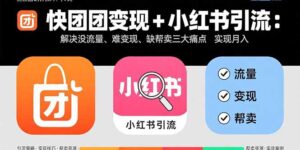 快团团变现+小红书引流：解决没流量、难变现、缺帮卖三大痛点 实现月入3w+-知识创作