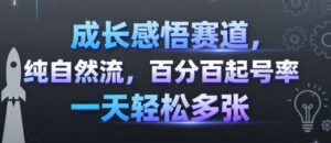 成长感悟赛道，纯自然流，百分百起号率 一天轻松多张-知识创作