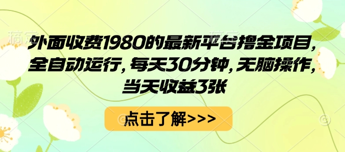 外面收费1980的最新平台撸金项目，全自动运行，每天30分钟，无脑操作，当天收益3张【揭秘】-知识创作