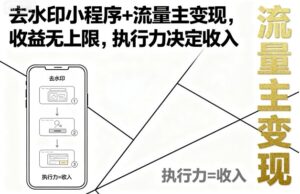 去水印小程序+流量主变现，收益无上限，执行力决定收入-知识创作