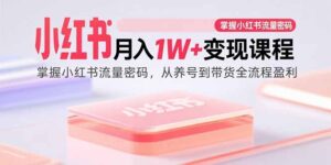 小红书月入1W+变现课程：掌握小红书流量密码，从养号到带货全流程盈利-知识创作