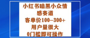小红书暗黑小众情感赛道，客单价100-300+用户量很大，0门槛即可操作-知识创作