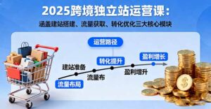 2025跨境独立站运营课：涵盖建站搭建、流量获取、转化优化三大核心模块-知识创作