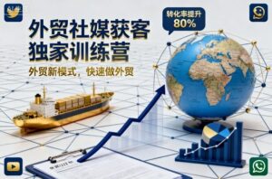 外贸社媒获客独家训练营，外贸新模式，快速做外贸-知识创作