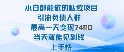 2025年小白都能做的私域项目引流负债人群最高一天变现1k+高变现难度低当天就能见到钱上手快-知识创作