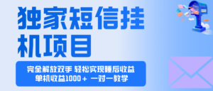 2025全新电脑挂机项目  操作简单，单机当天收益1000+，收益无上限，可...-知识创作