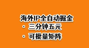 海外ip全自动掘金，2025必做蓝海项目，3分钟落地，矩阵直接开干【揭秘】-知识创作