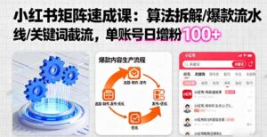 小红书矩阵起号速成课：算法拆解/爆款流水线/关键词截流 单账号日增粉100+-知识创作