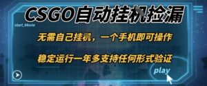 游戏自动挂G捡漏，一个手机即可操作，当天可操作见到结果，新手小白轻松月入1W+【揭秘】-知识创作