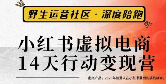 小红书虚拟电商14天变现训练营3.0，​虚拟产品，2025年普通人在小红书最后的搞钱机会-知识创作