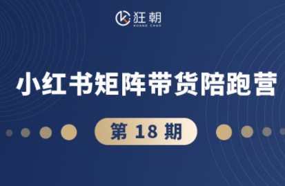 盗坤·抖音小红书视频号短视频带货与直播变现(11-18期)-知识创作