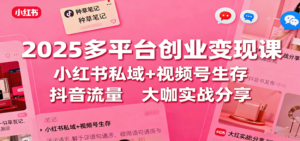 2025多平台创业变现课：小红书私域+视频号生存+抖音流量，大咖实战分享-知识创作