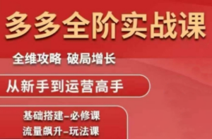 大炮·拼多多全阶实战课程(更新10月)-知识创作