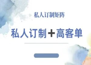 小红书自媒体咨询师IP教程，私人定制+高客单-知识创作