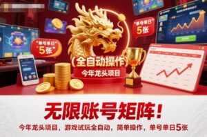 无限账号矩阵！今年龙头项目，游戏试玩全自动，简单操作，单号单日5张【揭秘】-知识创作