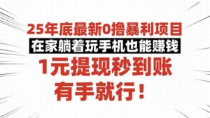 25年底最新0撸暴利项目，在家躺着玩手机也能赚钱，1元提现秒到账，有手...-知识创作