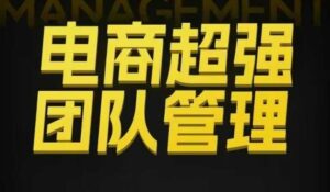 电商超强团队管理，组织绩效，到用人执行，分权合伙-知识创作