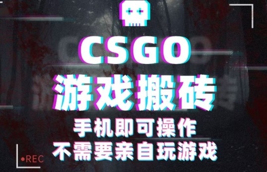 CSGO游戏挂G捡漏，单日扫货5张+，年底小高峰上车可吃肉，手机即可操作，兼职副业创业网创【揭秘】-知识创作