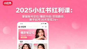 2025小红书红利课：掌握账号定位/爆款内容/变现路径，新手起号30天变现2w+-知识创作
