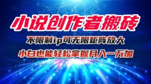 小说创作者搬砖玩法，不限制IP简单无脑 可矩阵无限放大小白也能实现轻...-知识创作
