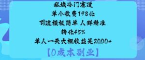 私域冷门赛道:单个收费198米引流模板简单人群精准转化45%单人一天大概收益是1k+-知识创作