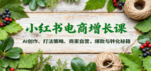 小红书电商增长课：AI创作、打法策略、商家自营，爆款与转化秘籍-知识创作