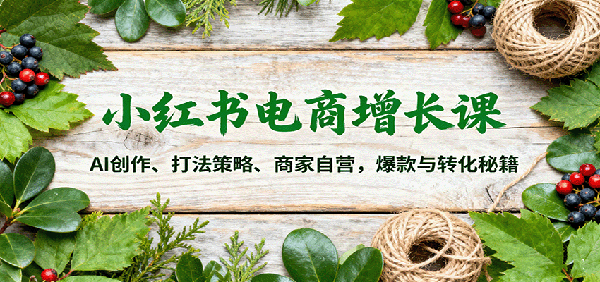 小红书电商增长课：AI创作、打法策略、商家自营，爆款与转化秘籍-知识创作
