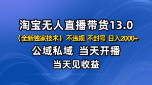 淘宝无人直播13.0，公域私域技术，不封号，不违规 布局下半年旺季赛道，日入2000+-知识创作