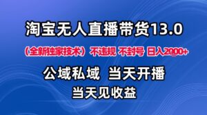 淘宝无人直播13.0，公域私域技术，不封号，不违规布局下半年旺季赛道，日入1K+(独家技术)【揭秘】-知识创作