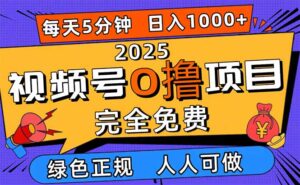2025视频号0撸项目，5分钟一个号，日入1000+，人人可做-知识创作